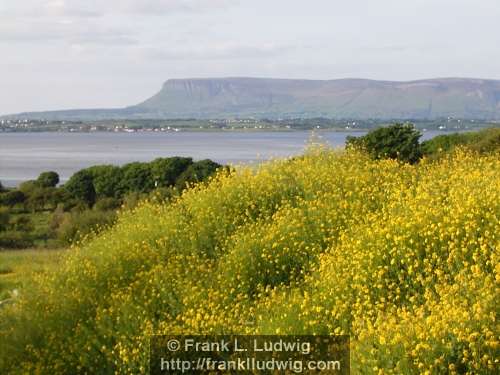 Strandhill Road